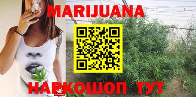 ECSTASY Новозыбков