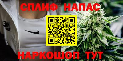 ECSTASY Новозыбков