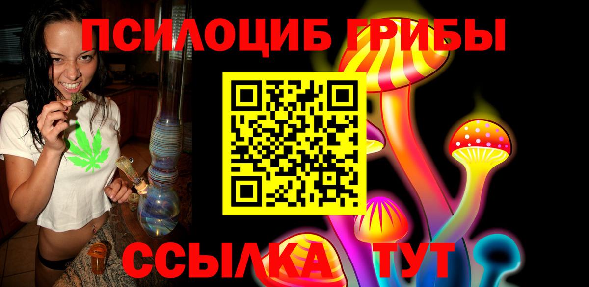 Галлюциногенные грибы Psilocybine cubensis Тихорецк