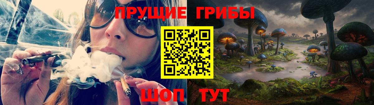 где продают   Вход с VPN  Тихорецк  Галлюциногенные грибы прущие грибы 